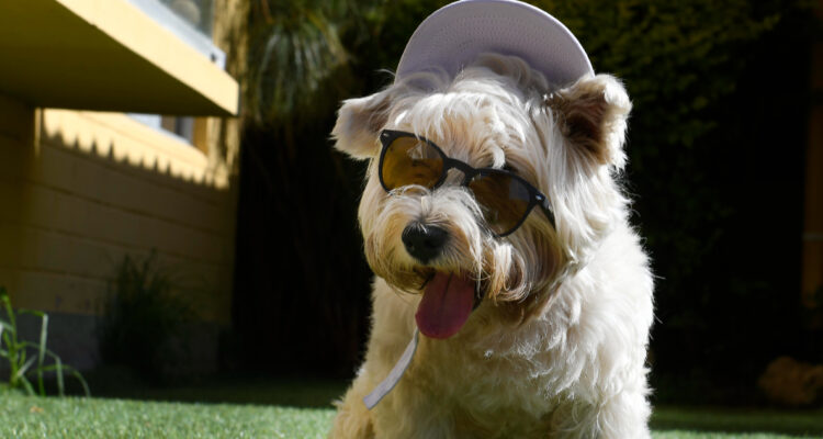 Contexto | Agencia UNO