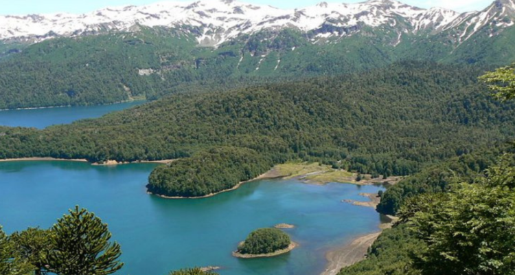 Vamos a entregar los parques nacionales a pueblos originarios: Huenchumilla y Comisión por la Paz