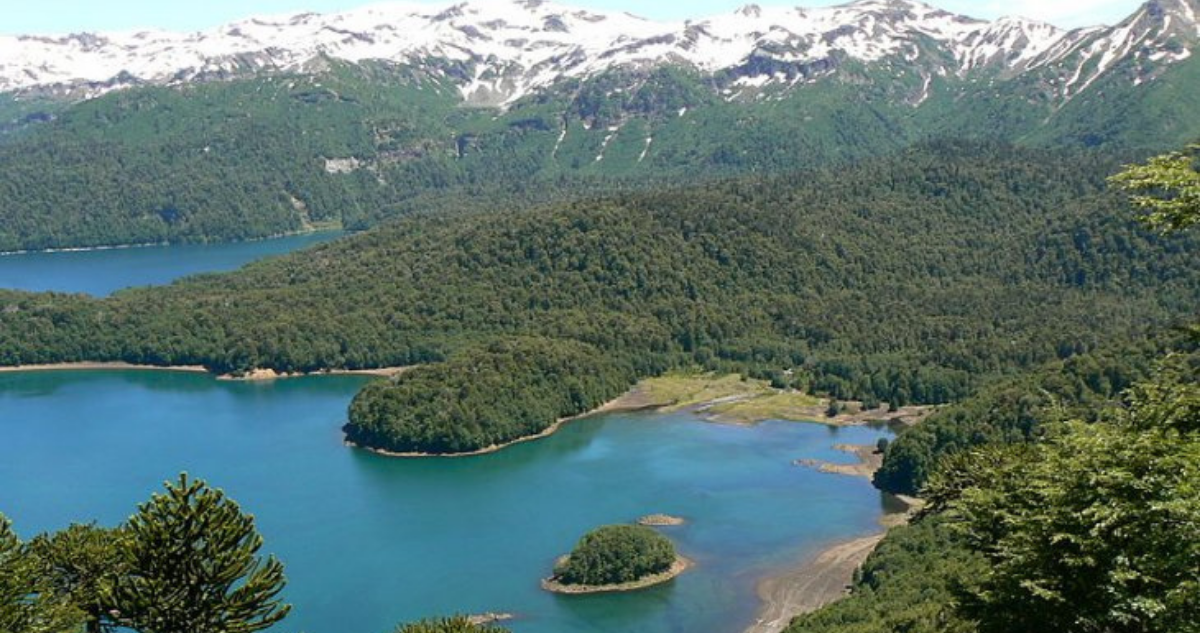 region-araucania-prepara-apertura-reservas-naturales-parques-nacionales.png