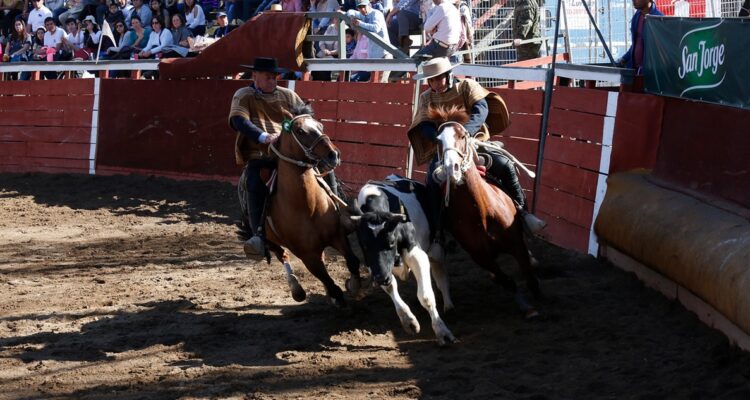 El rodeo, la causa menos apoyada según la Cadem.