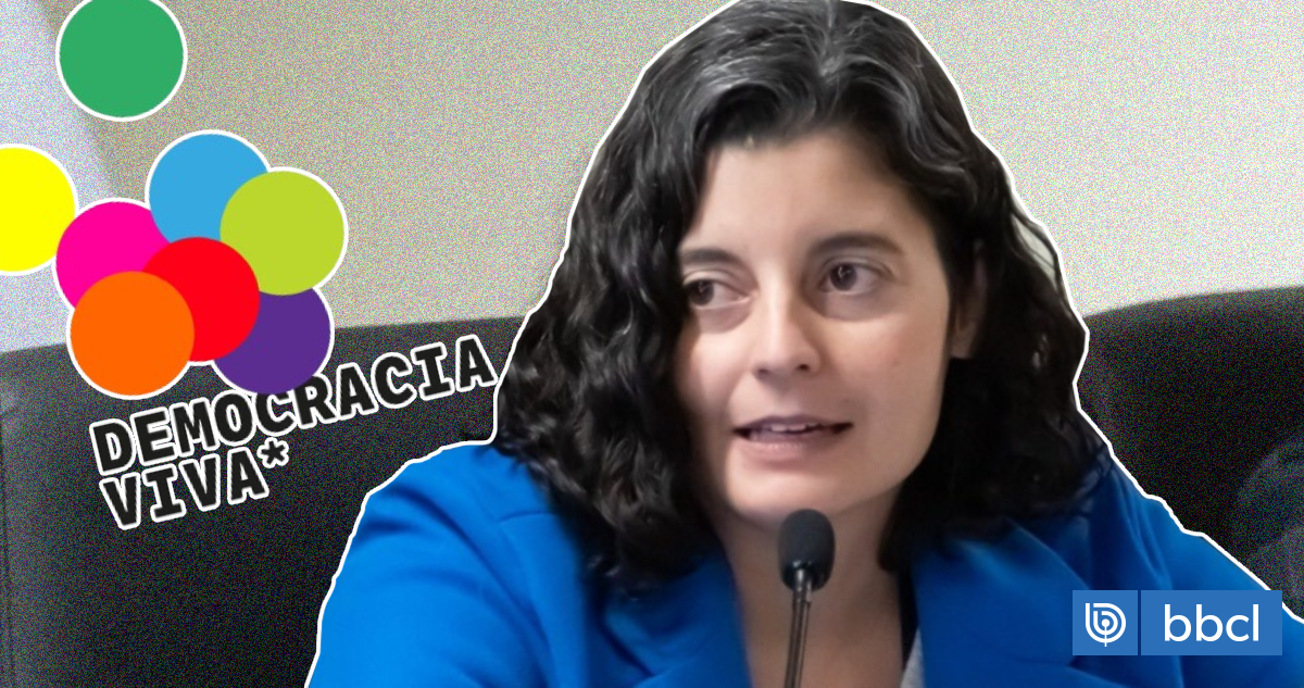 Delegada Dresdner reconoce que supo de Democracia Viva semanas antes en ...