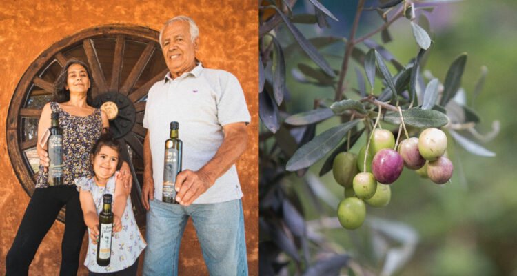 Empresa familiar de Atacama lanzó al mercado el primer aceite de oliva chileno para niños