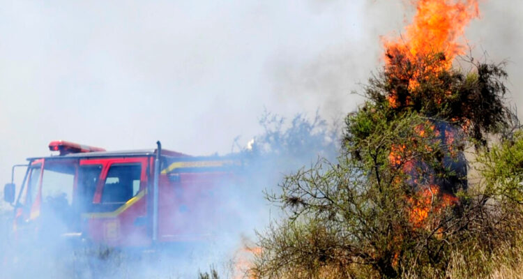 Activan “Botón Rojo” en Bío Bío por altas temperaturas y riesgo de incendios forestales