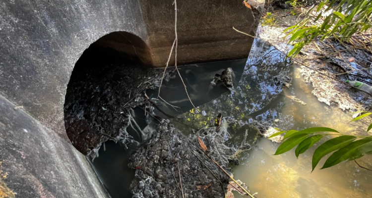 aguas servidas en la Laguna Grande de San Pedro de la Paz
