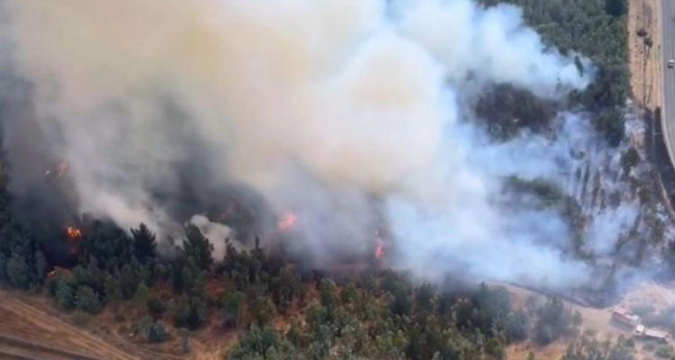 Imagen de incendio por el que se declaró Alerta Roja en Chillán Viejo