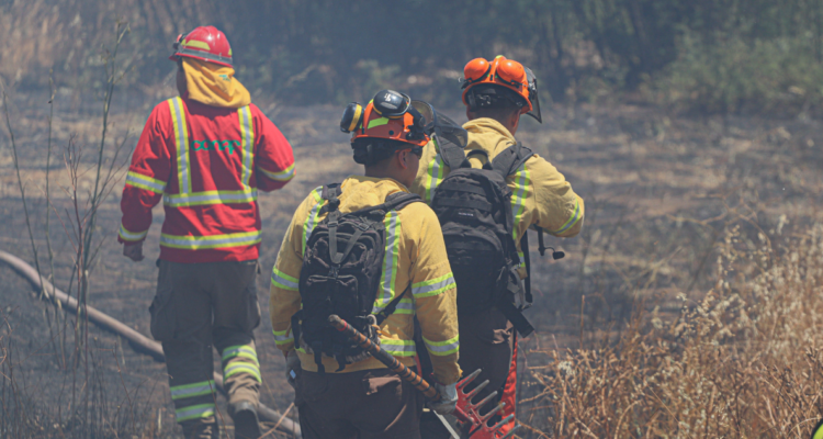 alerta roja incendios forestales Lonquimay