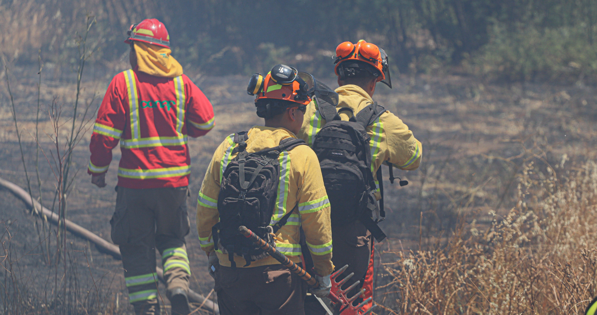 alerta roja incendios forestales Lonquimay