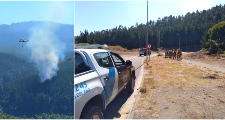 Alertan intencionalidad en incendios de sector Junquillar en San Pedro de la Paz: 8 focos en un mes