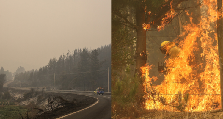 Revelan que Fiscalía formalizará a dos trabajadores de Coelcha por fatales incendios en Santa Juana