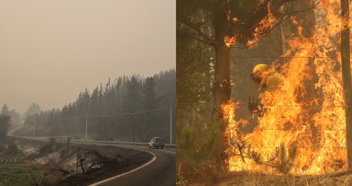 Revelan que Fiscalía formalizará a dos trabajadores de Coelcha por fatales incendios en Santa Juana