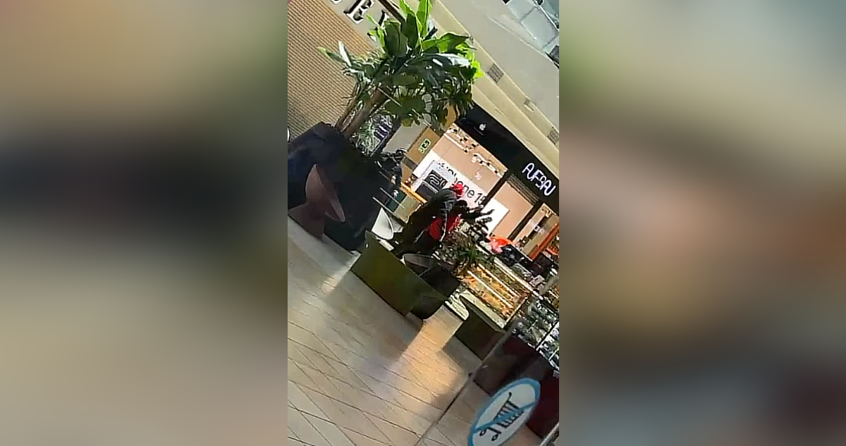 Buscan a delincuentes que perpetraron violento asalto en el mall Florida Center