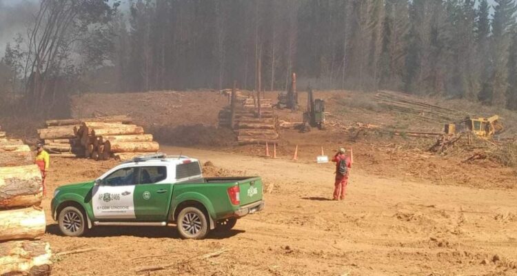 ATAQUE INCENDIARIO EN FAENA FORESTAL EN GORBEA