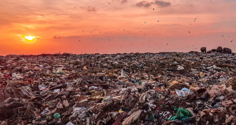 Estudio asegura que la evolución podría impedir que los humanos resuelvan el cambio climático