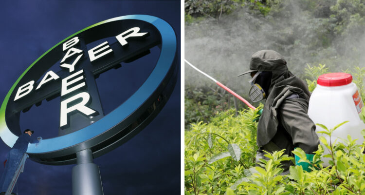 Izquierda: cruz de bayer derecha: hombre fumigando un cultivo en Colombia
