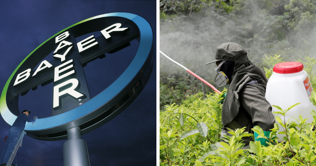Izquierda: cruz de bayer derecha: hombre fumigando un cultivo en Colombia