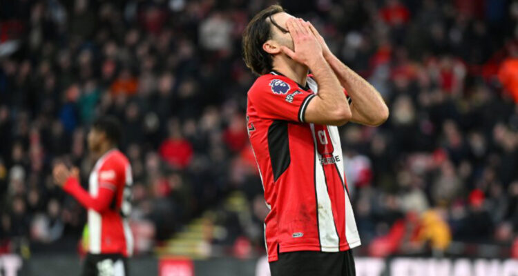 Ben Brereton titular Sheffield Brighton