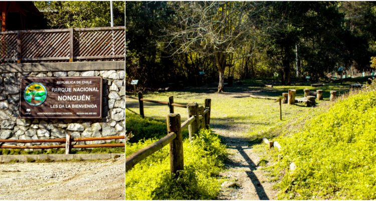 Bienes Nacionales y propiedad de Parque Nonguén: “El Fisco tiene el dominio y posesión exclusiva”