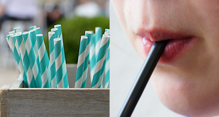 ¿Por qué las bombillas de papel, vidrio y bambú no están siendo una solución ecológica?