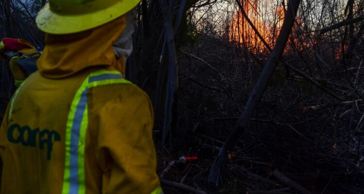 Brigadista herido con quemaduras cuando combatía incendio