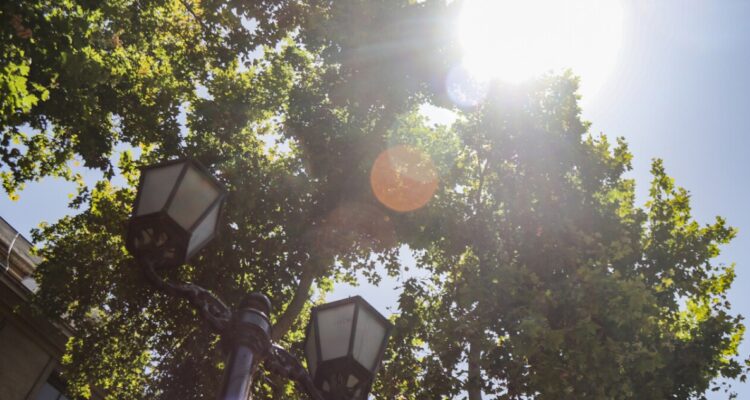 Después de un caluroso domingo: hasta 34°C se esperan para esta semana en la capital
