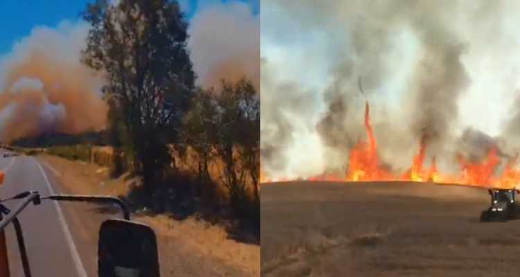 Cuatro casas destruidas deja incendio forestal en Lautaro: casi 400 hectáreas han sido arrasadas