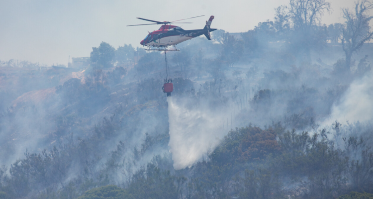 Cerca de 80 hectáreas consumidas por incendio forestal en Quilpué