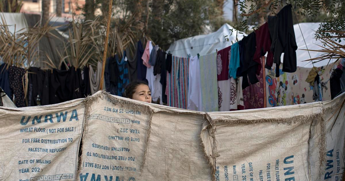 Gobierno de Chile entrega ayuda humanitaria a Gaza por $87 millones