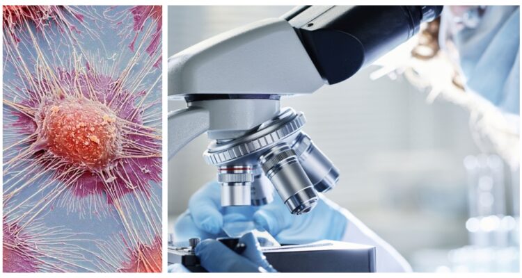 Escándalo en Instituto Oncológico Dana-Farber, que busca retractarse de 6 estudios y corregir 31, incluyendo autorías de destacados investigadores que ahora enfrentan acusaciones de manipulación de datos.