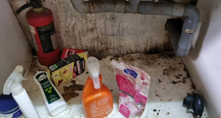 clausuran local de comida en provincia de Osorno