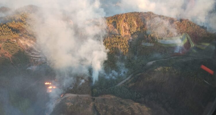 Sobrevuelo incendio forestal en Florida