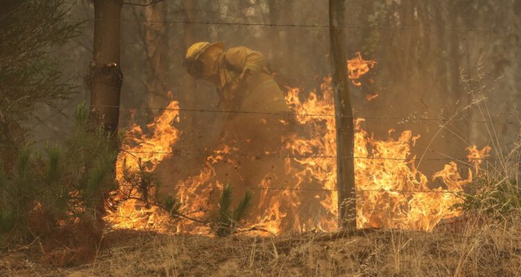 Fallece jefe de brigada de Conaf que se accidentó combatiendo incendio forestal en Los Álamos