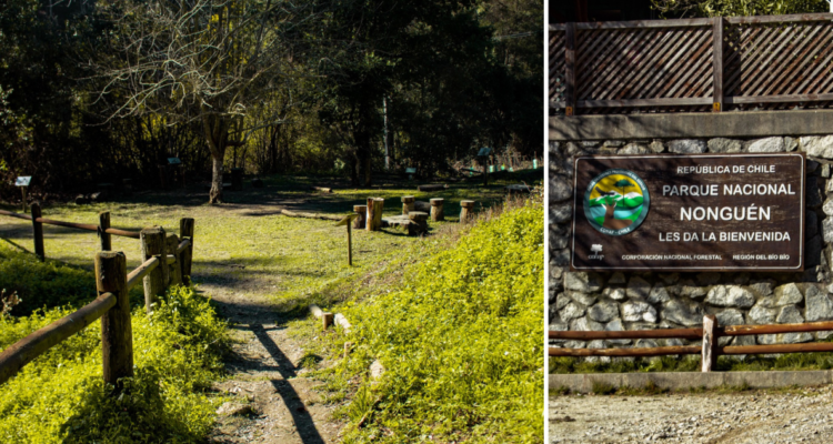 Avanzada tecnología de teledetección reforzará la conservación del Parque Nacional Nonguén en Bío Bío
