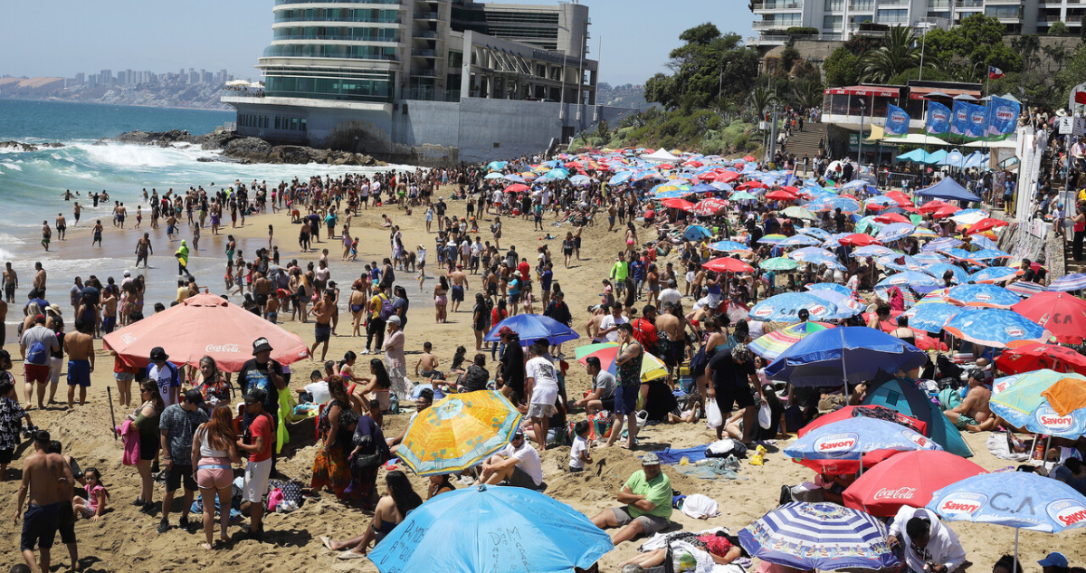 Viña del Mar: 100 detenciones y más de 20 multas por venta clandestina de alcohol en lo que va del año