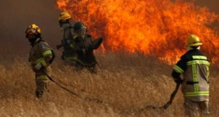 Incendio afecta a bodega en Ruta 5 en La Araucanía: fuego amenaza otro inmueble y desechos forestales
