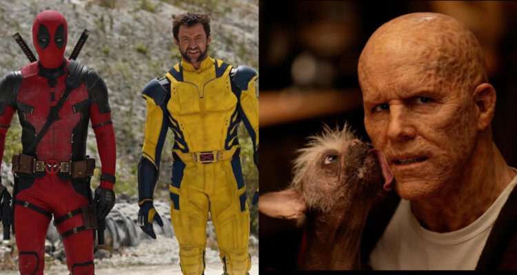 Ryan Reynolds confirmó el fin del rodaje de “Deadpool 3” y posible fecha de estreno