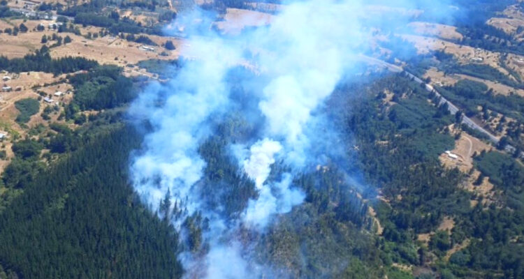 Declaran Alerta Roja para comuna de Yumbel por intenso incendio forestal