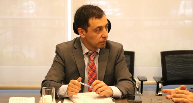 Anuar Quesille, Defensor de la Niñez.