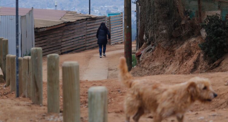 Desalojar toma de terreno en Quintero