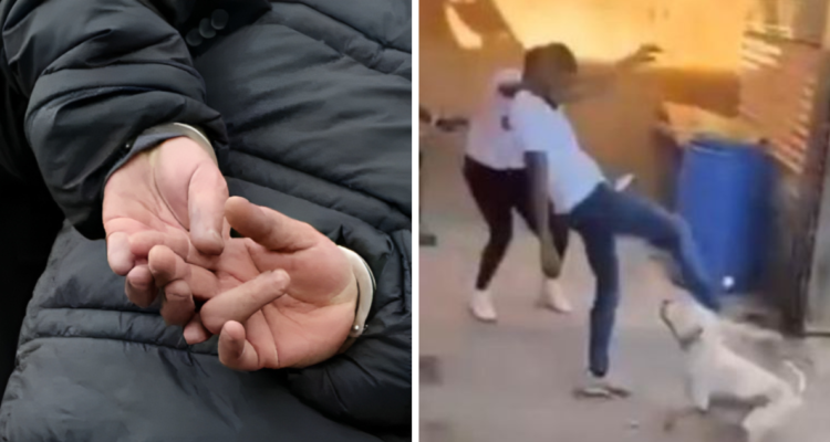 detenido por maltrato animal Copiapó