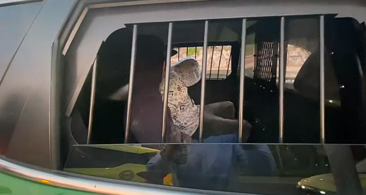 Detienen a tres delincuentes que se lanzaron al río Mapocho para escapar de la policía en Providencia