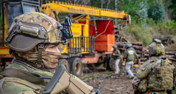 Detienen a cuatro personas vinculadas al robo de madera en Cañete y ligadas a la RML