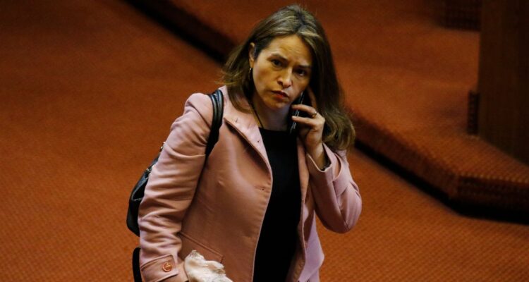 La indecisión de Demócratas por reforma de pensiones: seguro de longevidad aparece como demanda clave