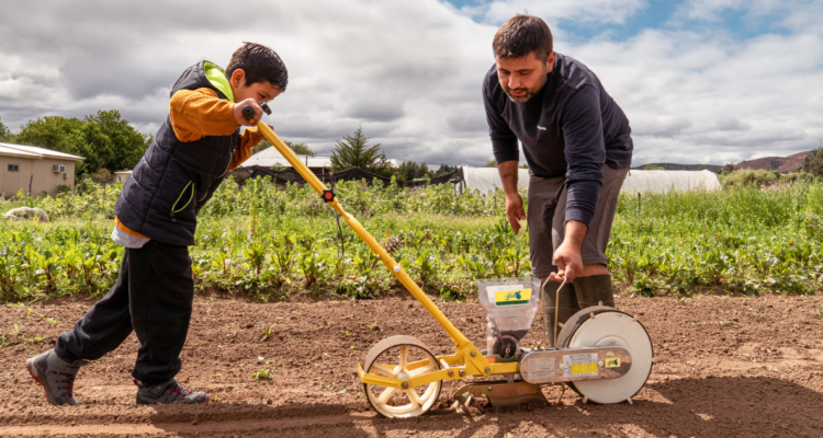 Fundación El Árbol finaliza programa de educación ambiental en 6 comunas del BioBío