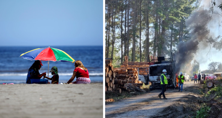 Faro UDD: inseguridad en la Macrozona Sur afecta negativamente a industria del turismo en el Bío Bío