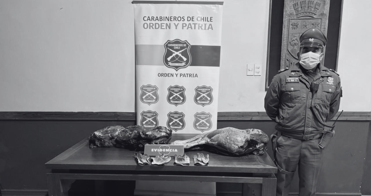 Carabineros