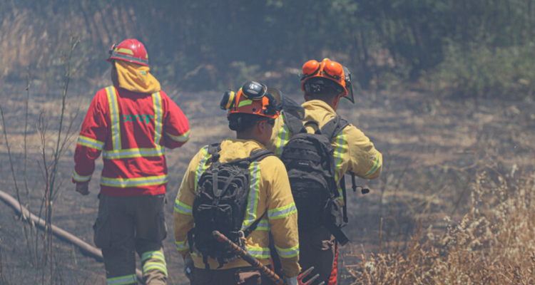 Contexto | Agencia Uno