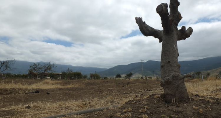 Ministerio de Obras Públicas declara a la provincia de Chiloé como zona de escasez hídrica