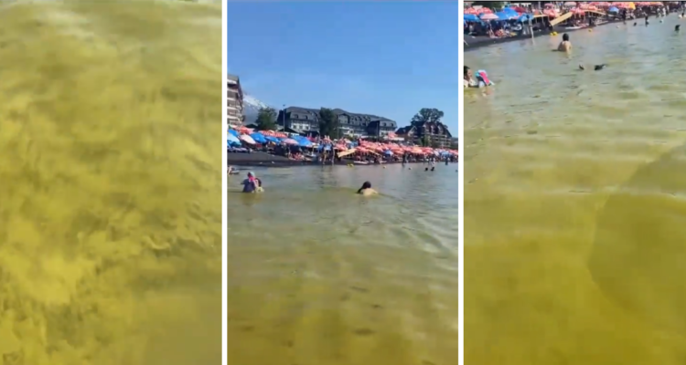 Capturas de video | @arevaloprensa | X