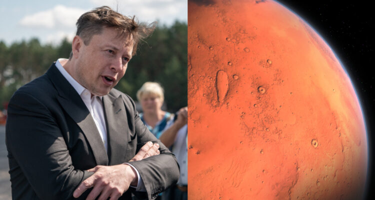 Elon Musk quiere ir a Marte con una suerte de arca de Noé: “Podemos llevar a todas las criaturas”