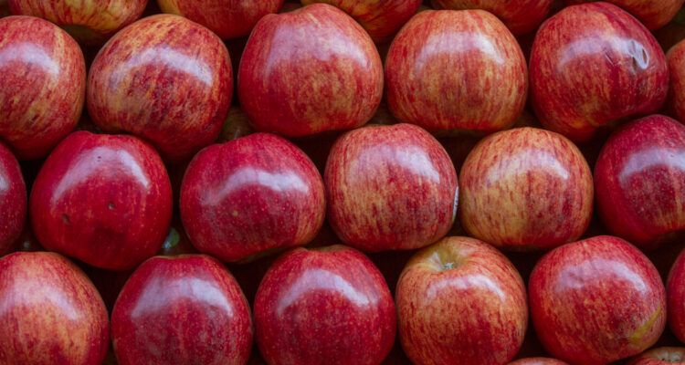 Empresa exportadora de fruta pide su reorganización para evitar la quiebra